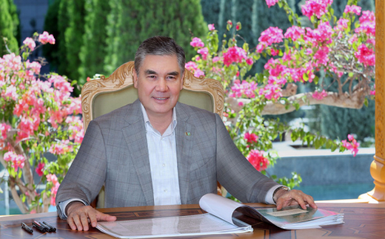 The President of Turkmenistan held a working video meeting