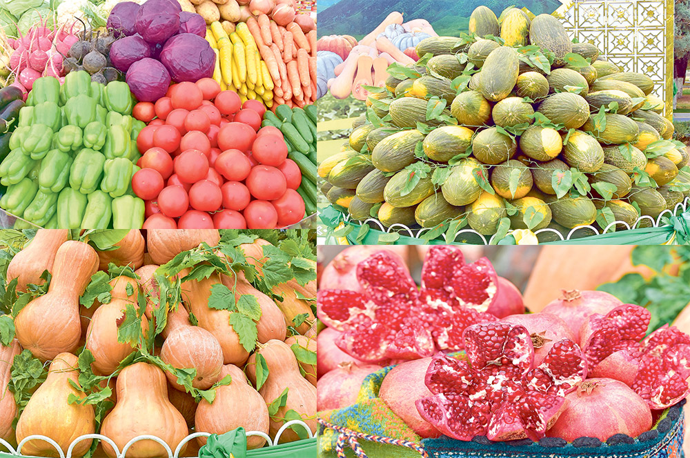 The President of Turkmenistan held a working meeting on agriculture