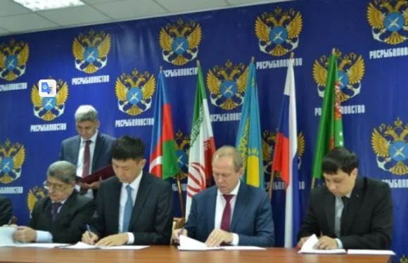 Туркменистан в числе прикаспийских стран продлил мораторий на промысловый вылов осетровых на 2025 год
