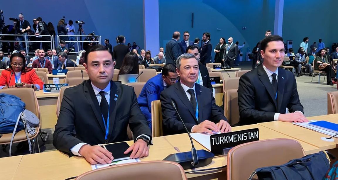 Делегация Туркменистана принимает участие в COP29 в Баку