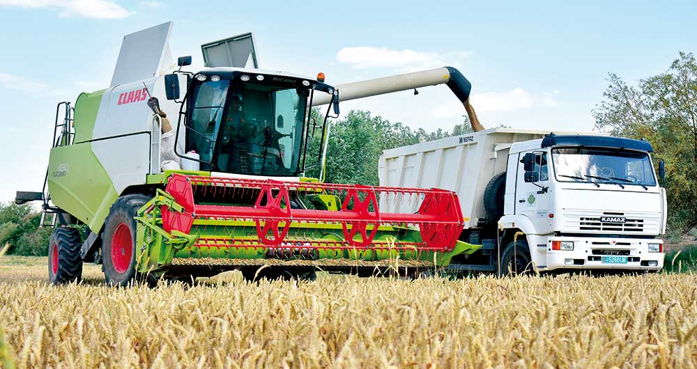 A State commission has been established to organize the grain harvest in 2023