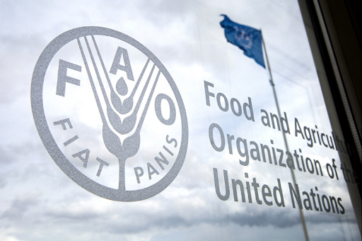Gurbanguly Berdimuhamedov approved the opening of the FAO office in Turkmenistan